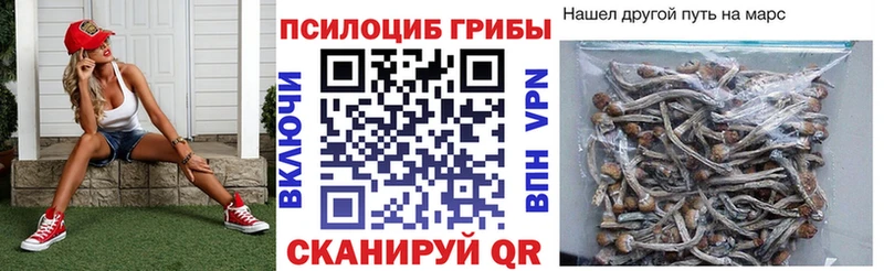 Галлюциногенные грибы GOLDEN TEACHER  omg   Скопин 